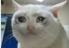 crying_cat